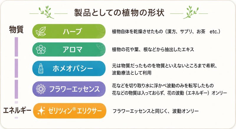 自然療法・ハーブ・アロマ・ホメオパシー・フラワーエッセンス・ゼリツィン®️の比較表
