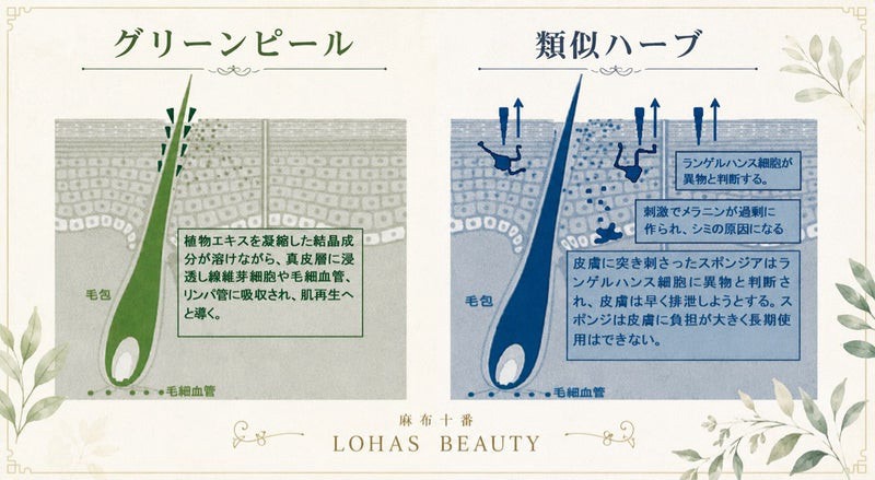 グリーンピールとは?ハーブピーリングとの違い「東京ハーブピーリング」